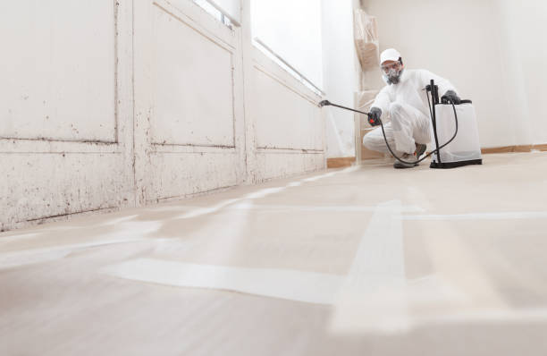 24/7 Emergency Commercial Mold Remediation experts in Peoria, AZ