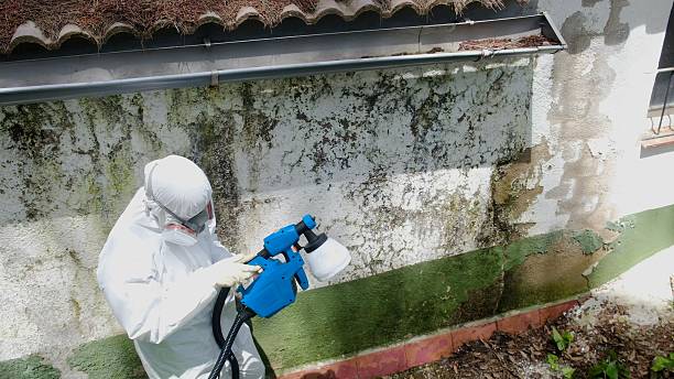 Top rated local Commercial Mold Remediation specialists in Peoria, AZ